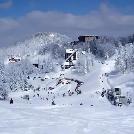 B229 & B230 In Vucko, -private Host Jahorina