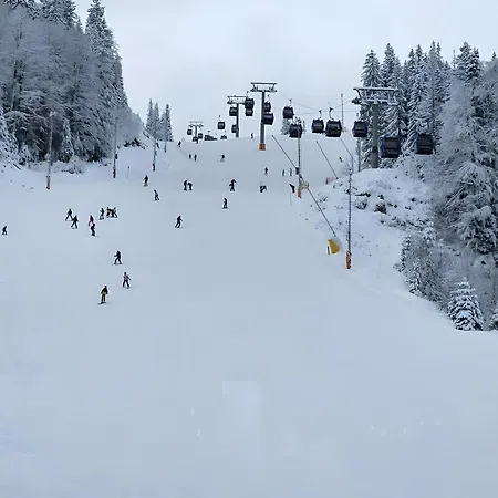 B229 & B230 In Vucko, -private Host