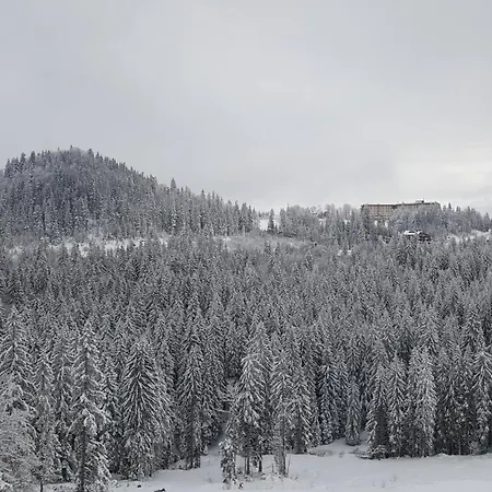 B229 & B230 In Vucko, -private Host Daire