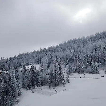 Daire B229 & B230 In Vucko, -private Host Jahorina
