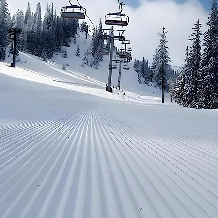 B229 & B230 In Vucko, -private Host Jahorina