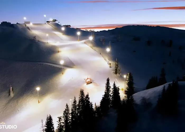 B229 & B230 In Vucko, -private Host 5* Jahorina