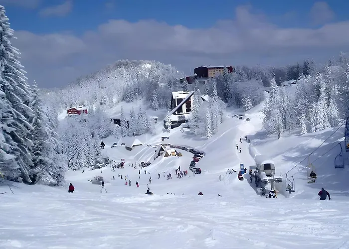 B229 & B230 In Vucko, -private Host Jahorina