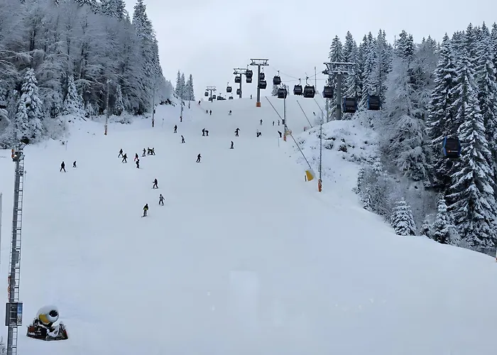 B229 & B230 In Vucko, -private Host