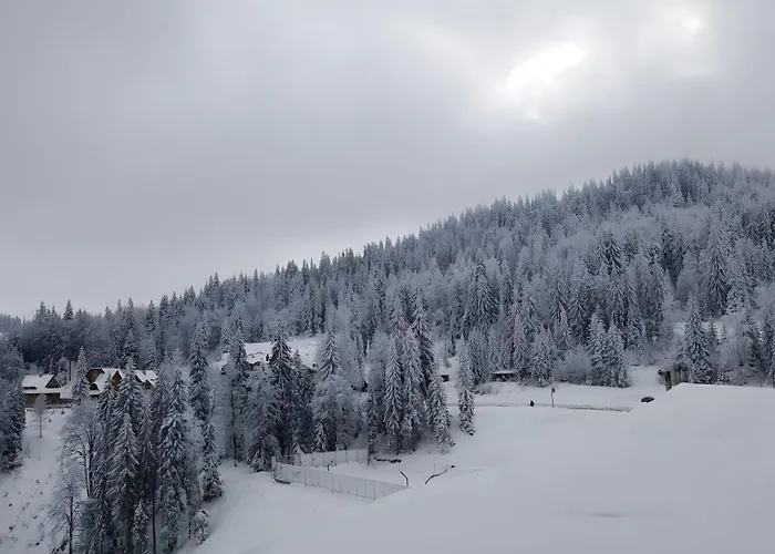 Apartment B229 & B230 In Vucko, -private Host Jahorina