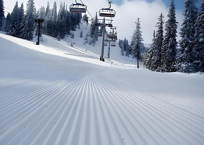 B229 & B230 In Vucko, -private Host Jahorina