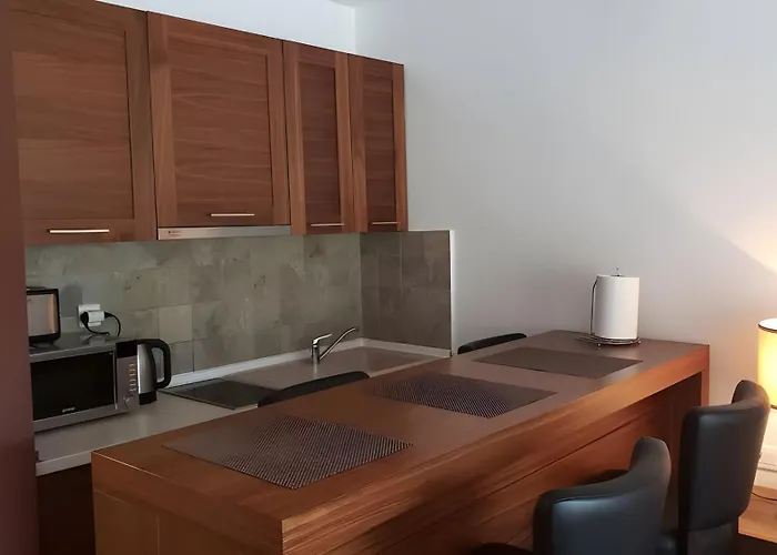 B229 & B230 In Vucko, -private Host Apartment Jahorina