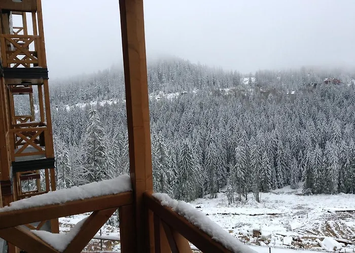 B229 & B230 In Vucko, -private Host Apartment Jahorina