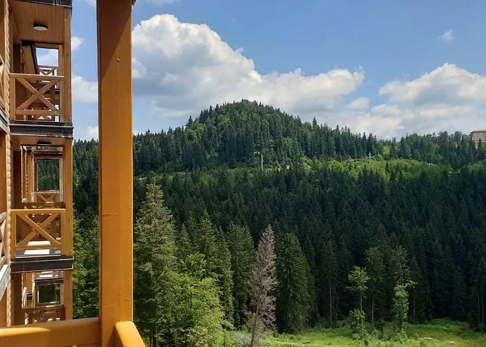 B229 & B230 In Vucko, -private Host 5* Jahorina